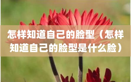 怎样知道自己的脸型（怎样知道自己的脸型是什么脸）
