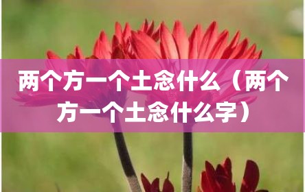 两个方一个土念什么（两个方一个土念什么字）