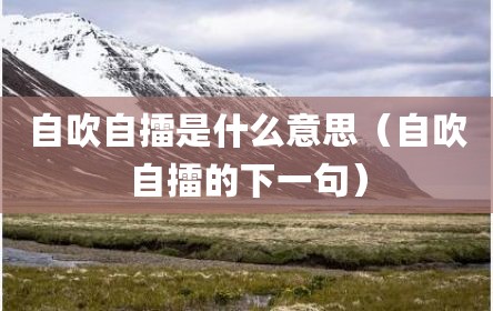 自吹自擂是什么意思（自吹自擂的下一句）