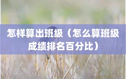 怎样算出班级（怎么算班级成绩排名百分比）