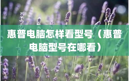惠普电脑怎样看型号（惠普电脑型号在哪看）
