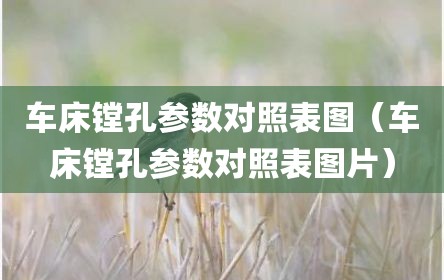 车床镗孔参数对照表图（车床镗孔参数对照表图片）