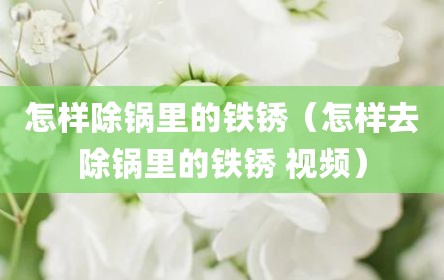 怎样除锅里的铁锈（怎样去除锅里的铁锈 视频）
