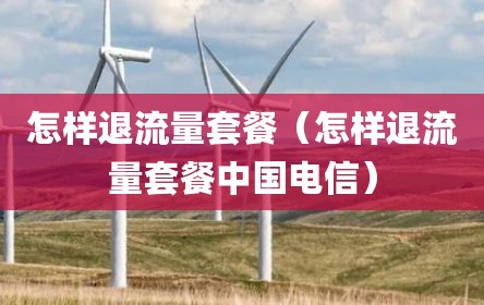 怎样退流量套餐（怎样退流量套餐中国电信）