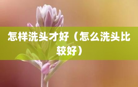 怎样洗头才好（怎么洗头比较好）