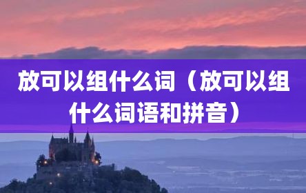 放可以组什么词（放可以组什么词语和拼音）