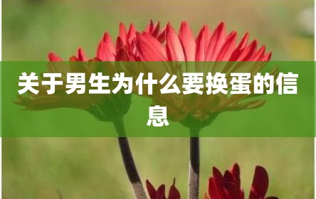 关于男生为什么要换蛋的信息