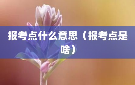 报考点什么意思（报考点是啥）