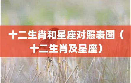 十二生肖和星座对照表图（十二生肖及星座）