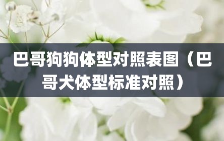 巴哥狗狗体型对照表图（巴哥犬体型标准对照）