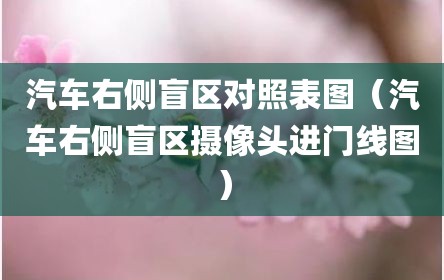 汽车右侧盲区对照表图（汽车右侧盲区摄像头进门线图）