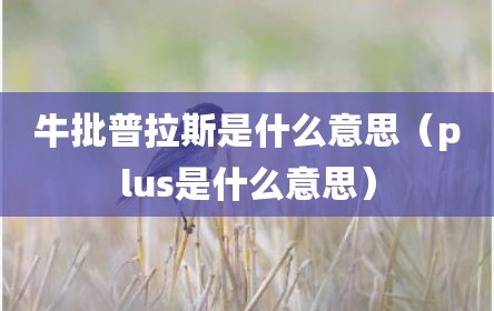牛批普拉斯是什么意思（plus是什么意思）