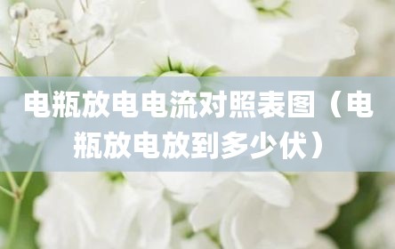 电瓶放电电流对照表图（电瓶放电放到多少伏）