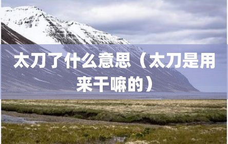 太刀了什么意思（太刀是用来干嘛的）