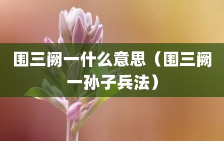 围三阙一什么意思（围三阙一孙子兵法）