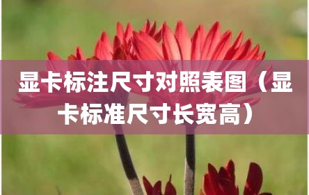 显卡标注尺寸对照表图（显卡标准尺寸长宽高）