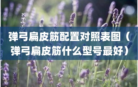 弹弓扁皮筋配置对照表图（弹弓扁皮筋什么型号最好）