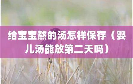 给宝宝熬的汤怎样保存（婴儿汤能放第二天吗）
