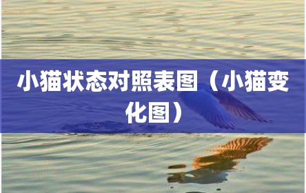 小猫状态对照表图（小猫变化图）