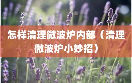 怎样清理微波炉内部（清理微波炉小妙招）