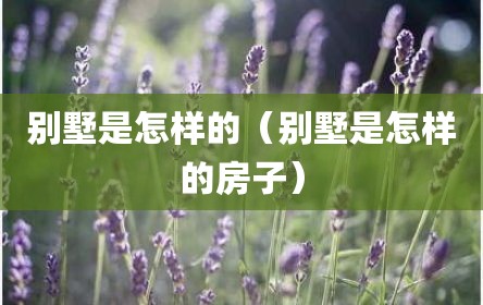 别墅是怎样的（别墅是怎样的房子）