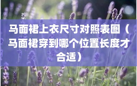 马面裙上衣尺寸对照表图（马面裙穿到哪个位置长度才合适）