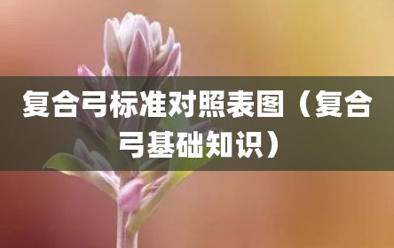 复合弓标准对照表图（复合弓基础知识）