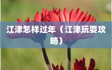 江津怎样过年（江津玩耍攻略）