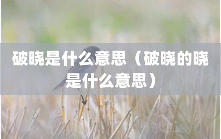 破晓是什么意思（破晓的晓是什么意思）