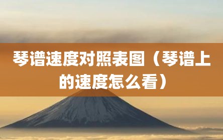 琴谱速度对照表图（琴谱上的速度怎么看）