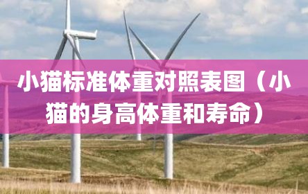 小猫标准体重对照表图（小猫的身高体重和寿命）
