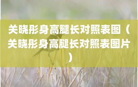 关晓彤身高腿长对照表图（关晓彤身高腿长对照表图片）