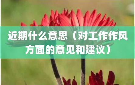 近期什么意思（对工作作风方面的意见和建议）
