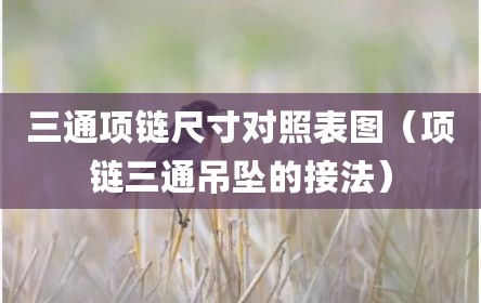 三通项链尺寸对照表图（项链三通吊坠的接法）