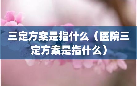 三定方案是指什么（医院三定方案是指什么）