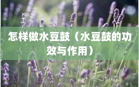 怎样做水豆鼓（水豆鼓的功效与作用）