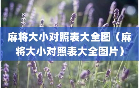 麻将大小对照表大全图（麻将大小对照表大全图片）