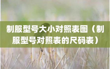 制服型号大小对照表图（制服型号对照表的尺码表）