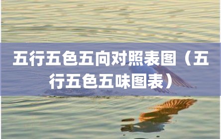 五行五色五向对照表图（五行五色五味图表）