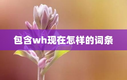 包含wh现在怎样的词条