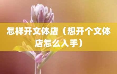 怎样开文体店（想开个文体店怎么入手）