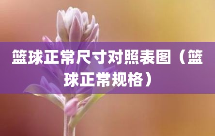 篮球正常尺寸对照表图（篮球正常规格）