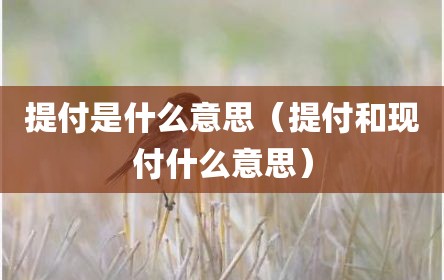 提付是什么意思（提付和现付什么意思）