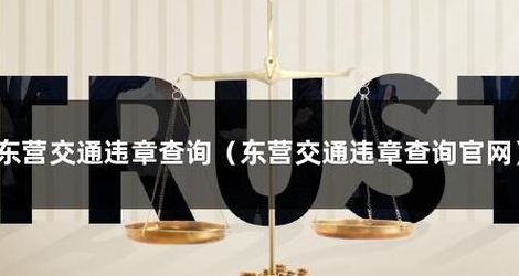 东营交通违章查询（东营交通违章查询平台）