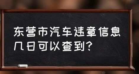 东营交通违章查询（东营交通违章查询平台）