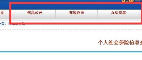 深圳市劳动保障卡查询（深圳劳动保障网个人社保信息查询）