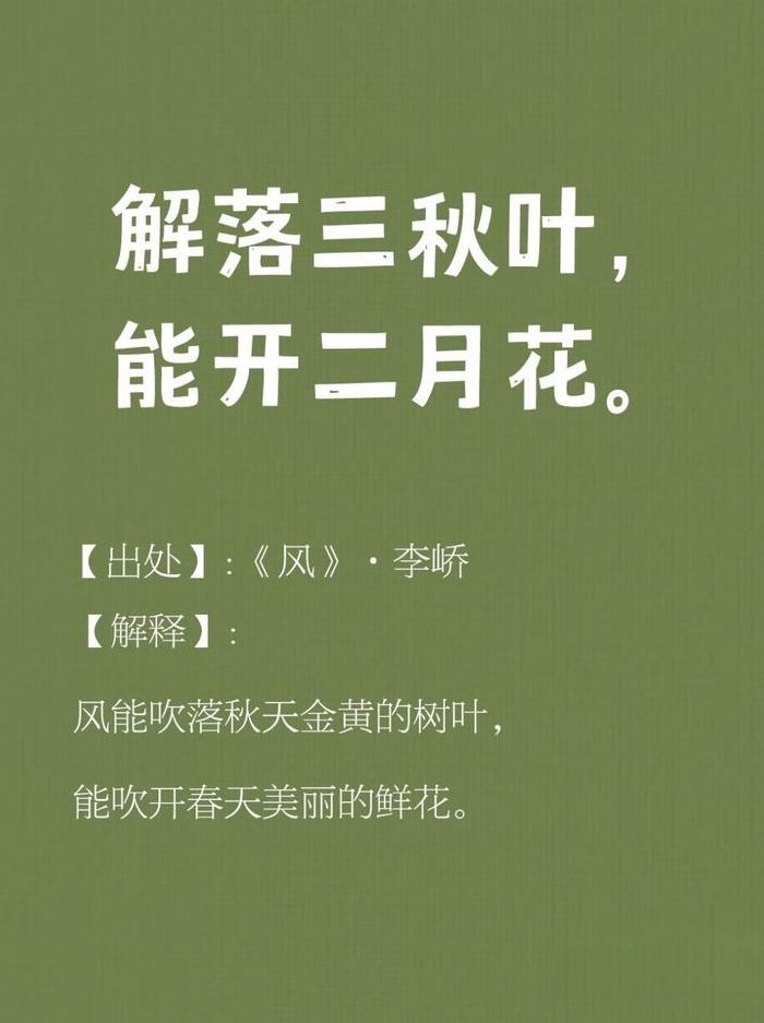 解落三秋叶能开二月花写的是什么（解落三秋叶能开二月花写的是什么食物）