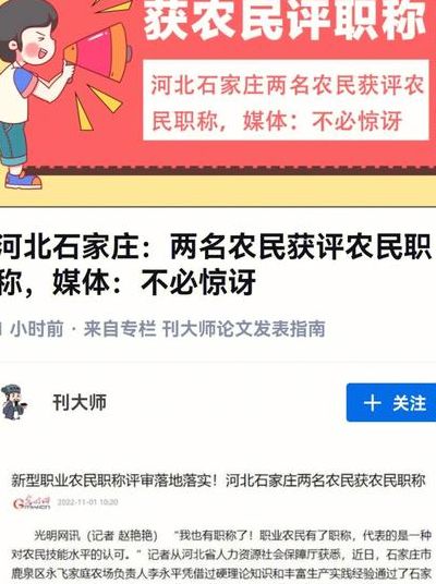 两农民获评职称?媒体:不必惊讶（农民职称是什么）