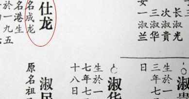 成龙家谱（成龙家谱名）