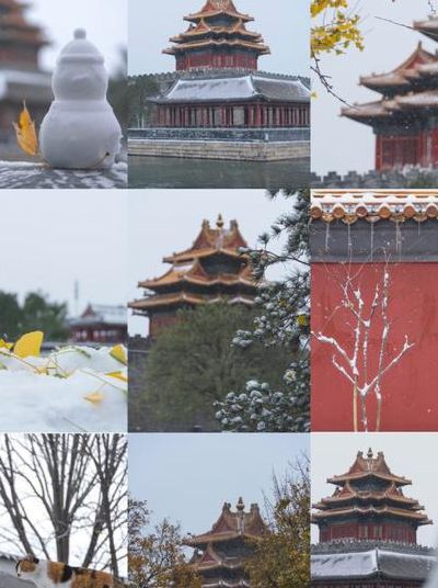 北京初雪故宫白雪镶红墙（北京初雪 故宫）
